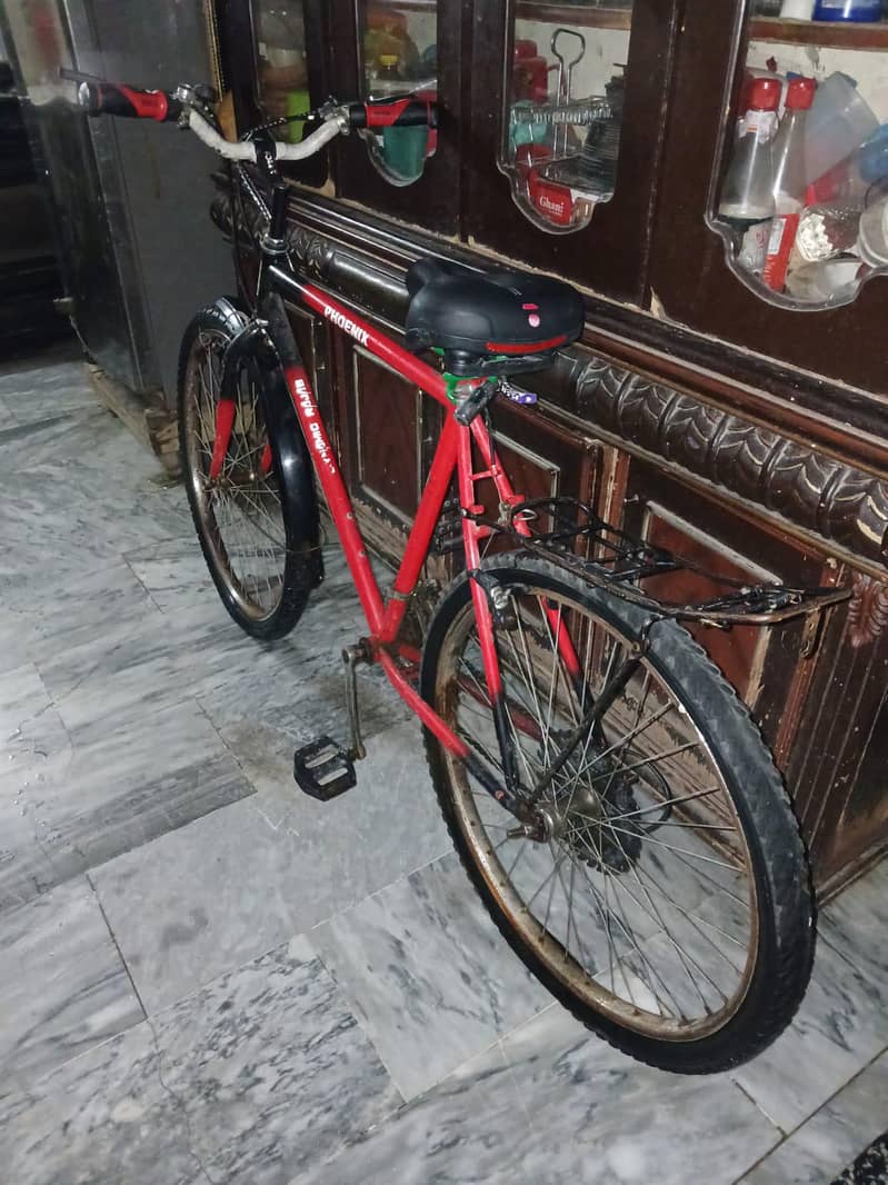 Phoenix  Cycle 2