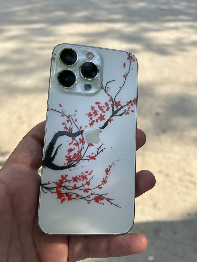 Apple iPhone 13 Pro 1