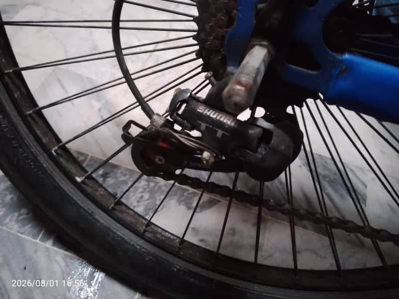 bicycle 6