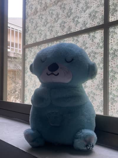 Breathing Teddy Bear