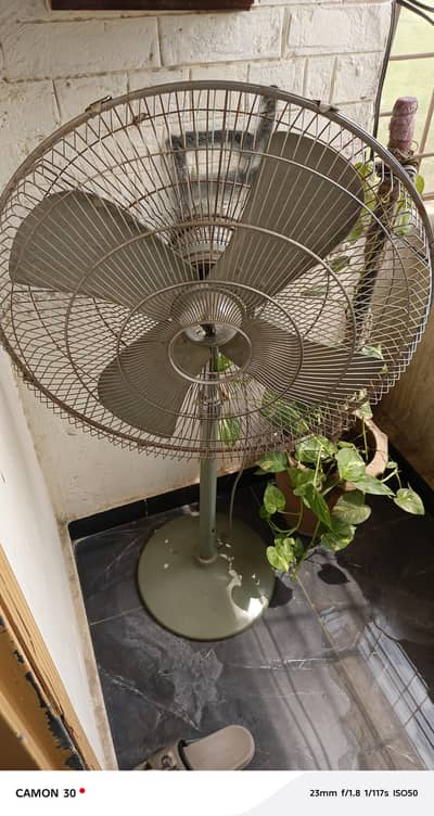 Yunis Company Pedestal Fan