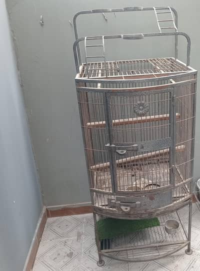 parrot  cage