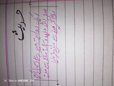 assignment writing