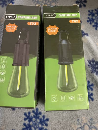 Electric  chargeable bulb