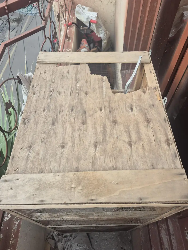 pinjra  for sale ur gunt sale kar na ha — photo 2