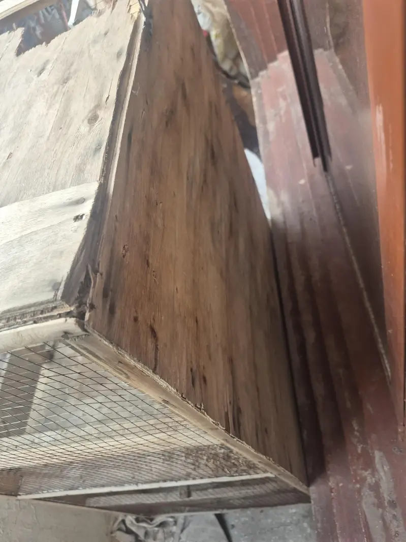 pinjra  for sale ur gunt sale kar na ha — photo 3
