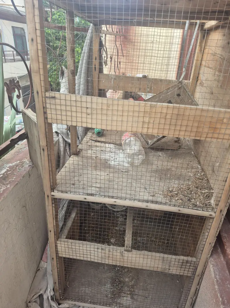 pinjra  for sale ur gunt sale kar na ha — photo 4