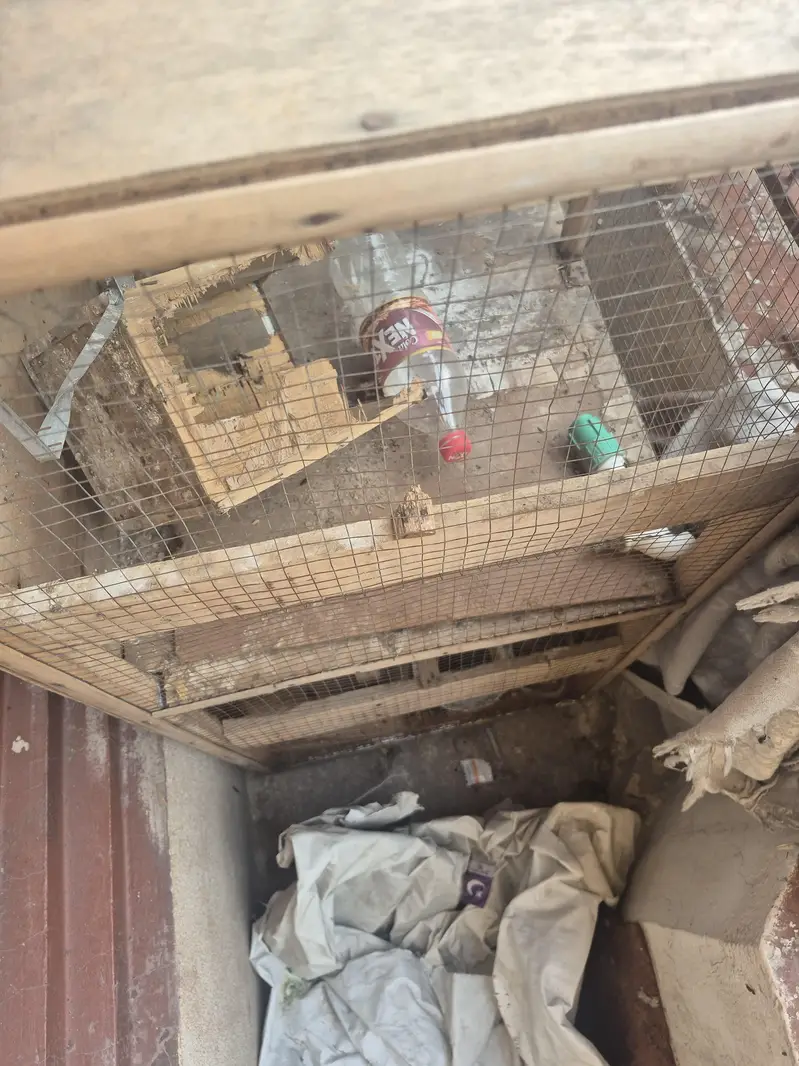 pinjra  for sale ur gunt sale kar na ha — photo 7