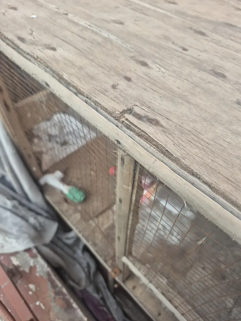 pinjra  for sale ur gunt sale kar na ha — photo 8