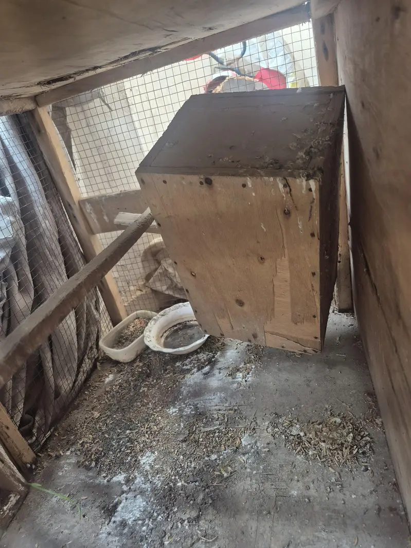pinjra  for sale ur gunt sale kar na ha — photo 12