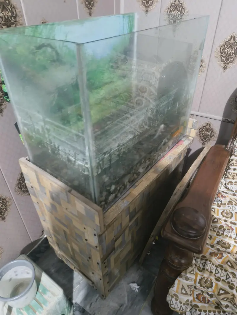 5 fishes with aquarium — photo 3