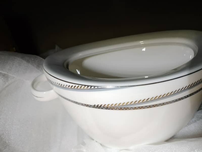 Dinner set 9