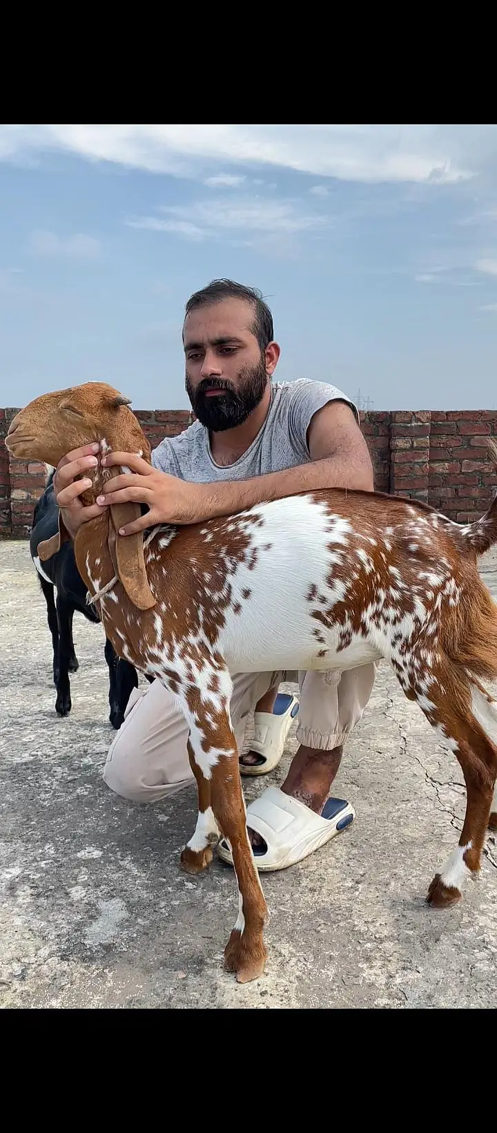 4 months age hai — photo 2