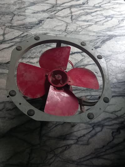 Rado fan
