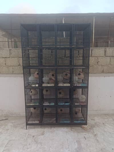 Bird Cage | Bird Accessories | Birds | Iron Cage | Cages