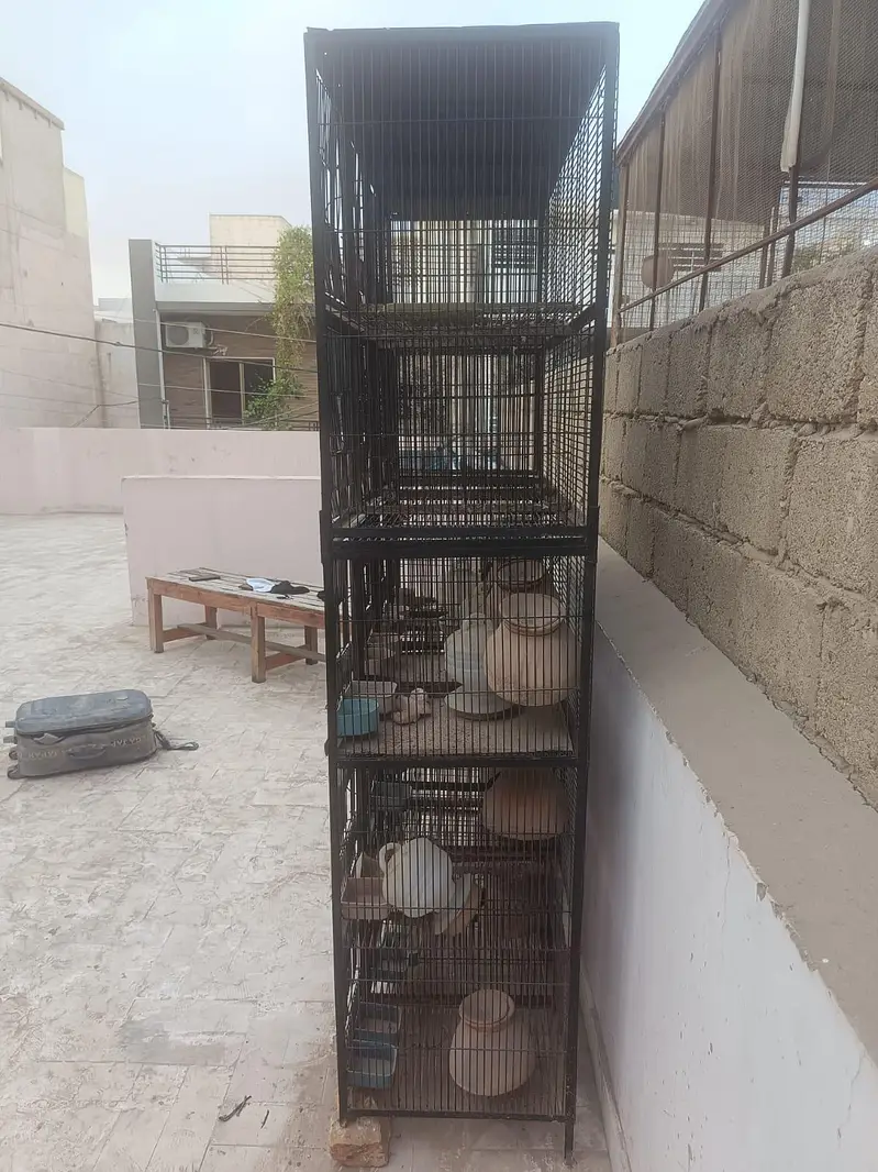 Bird Cage | Bird Accessories | Birds | Iron Cage | Cages — photo 2