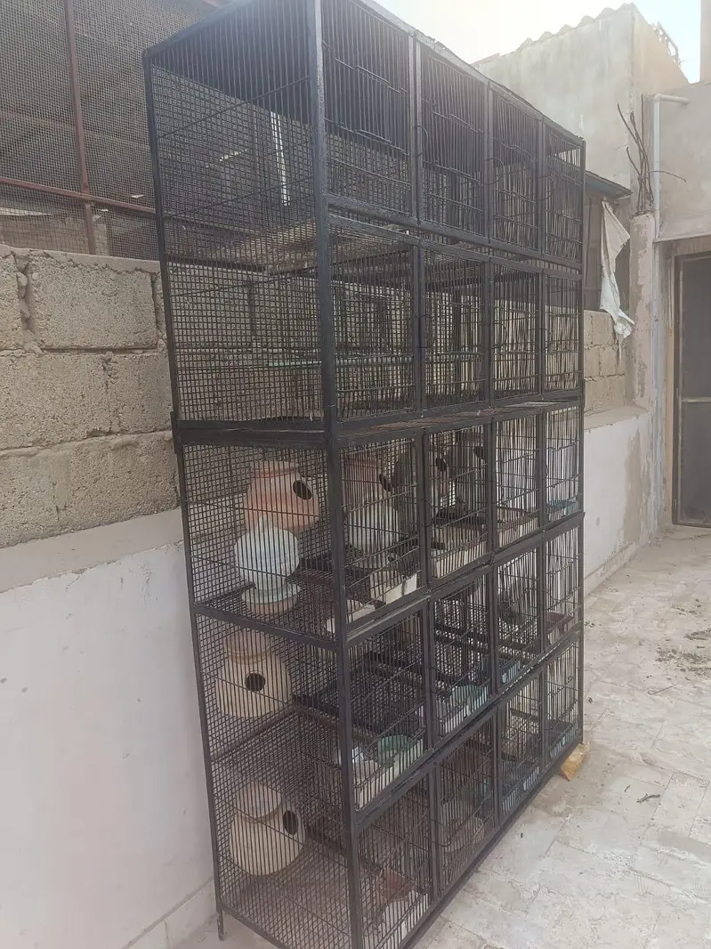 Bird Cage | Bird Accessories | Birds | Iron Cage | Cages — photo 3