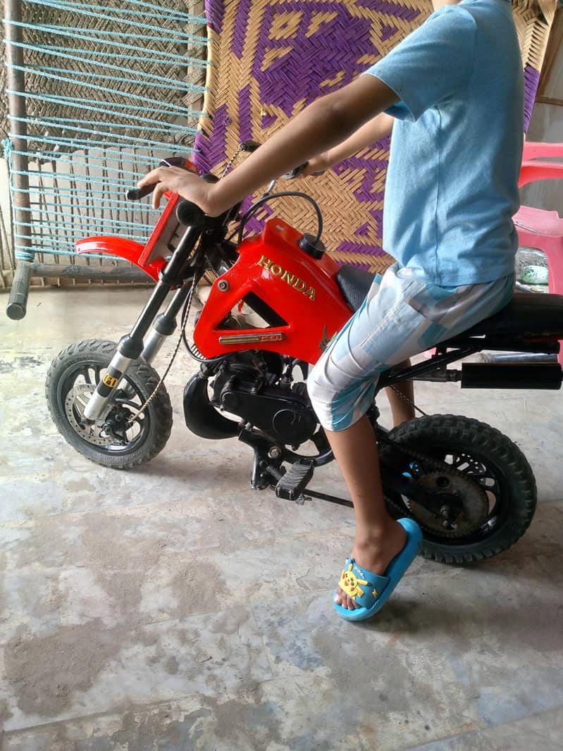 Mini Trail 12