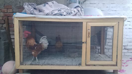 Hen Cage New