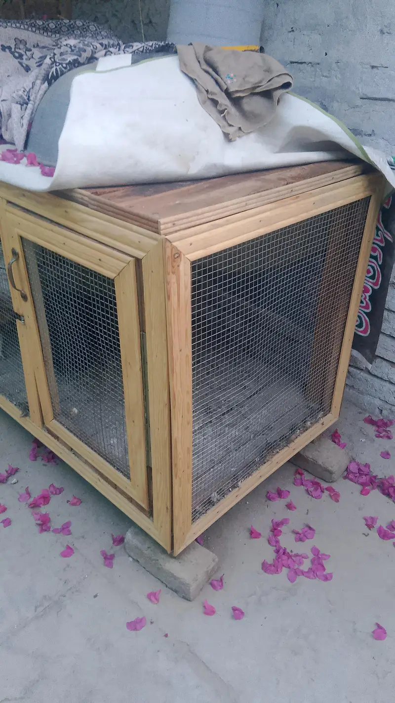 Hen Cage New — photo 2