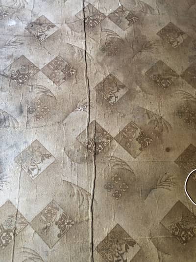 Used brown carpet