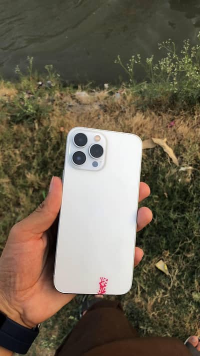 Apple iPhone 13 Pro Max health 100