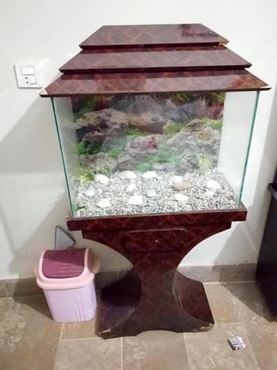 sydeali