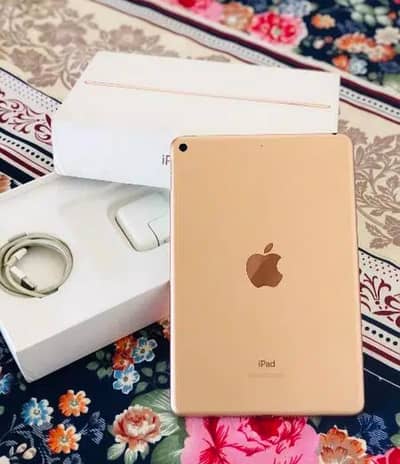 iPad Mini 5
