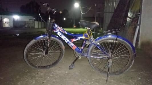 Mountain bicycle