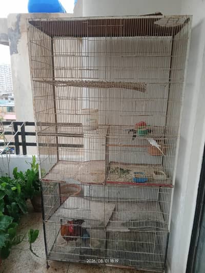 Parrots Cage