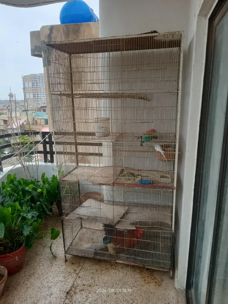 Parrots Cage — photo 2
