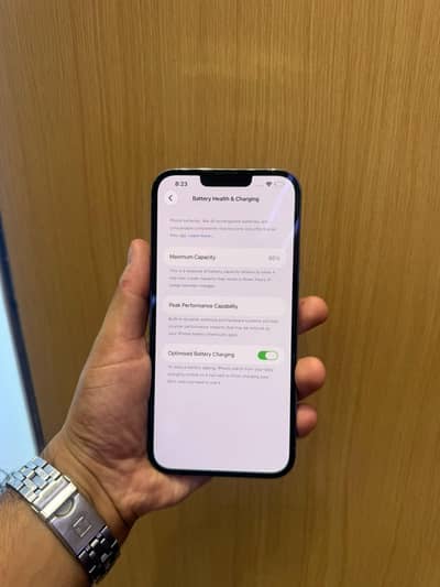 Apple iPhone 13 Pro Max