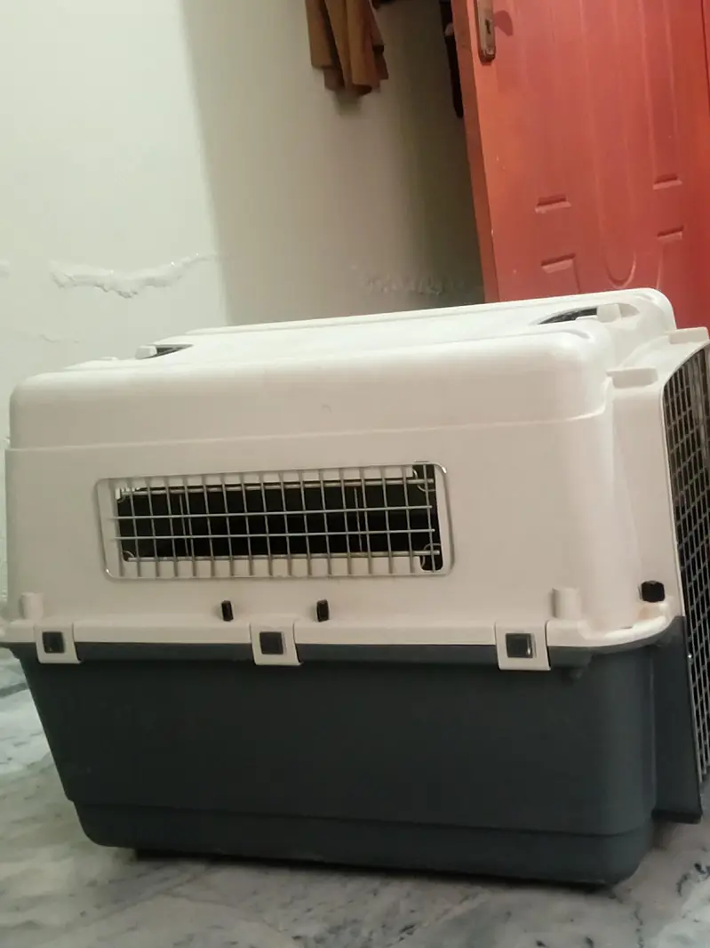 dog&cats cage — photo 3