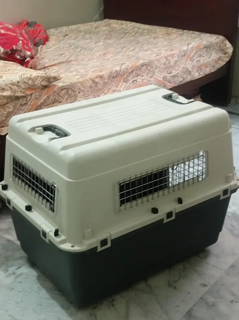 dog&cats cage — photo 4