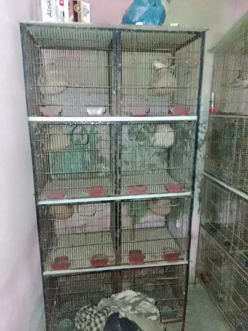 pinjara (Birds Cage) — photo 2