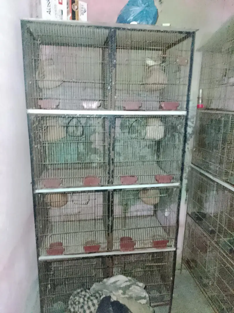 pinjara (Birds Cage) — photo 3