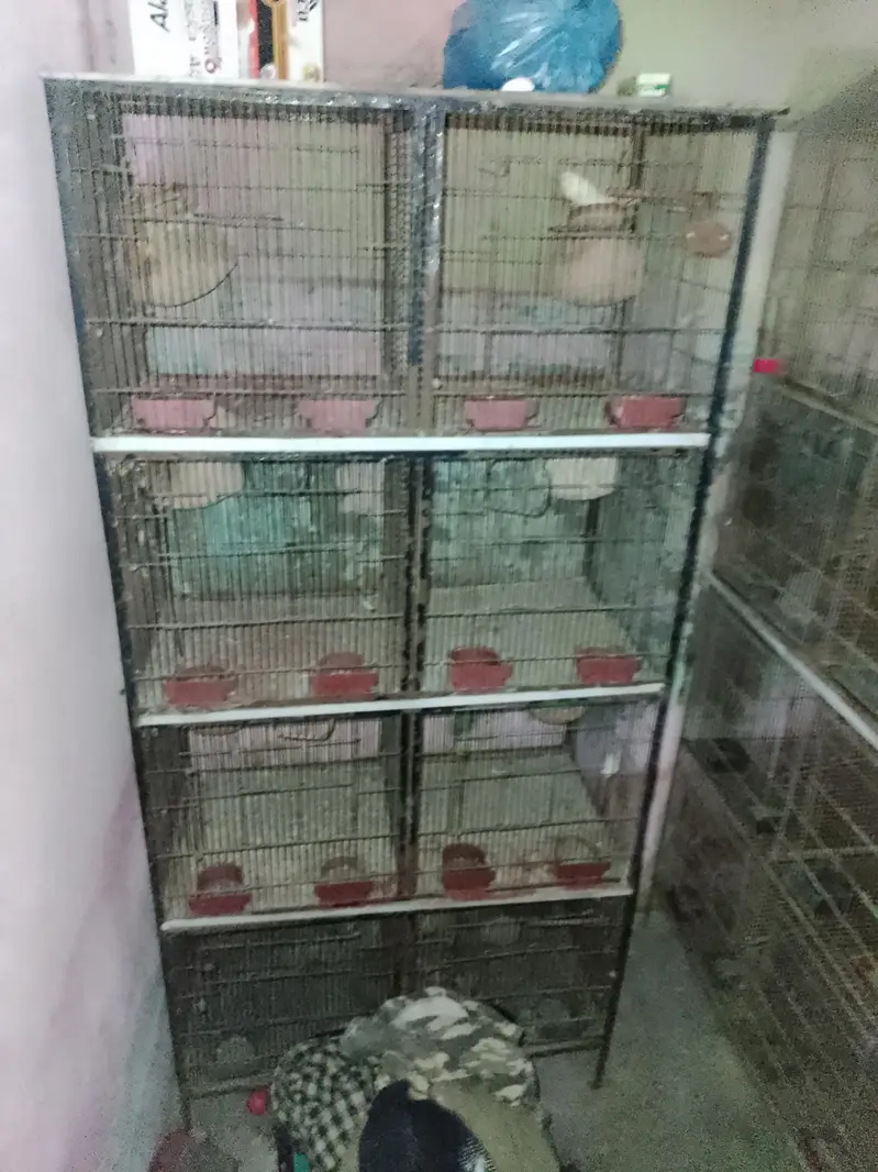 pinjara (Birds Cage) — photo 4