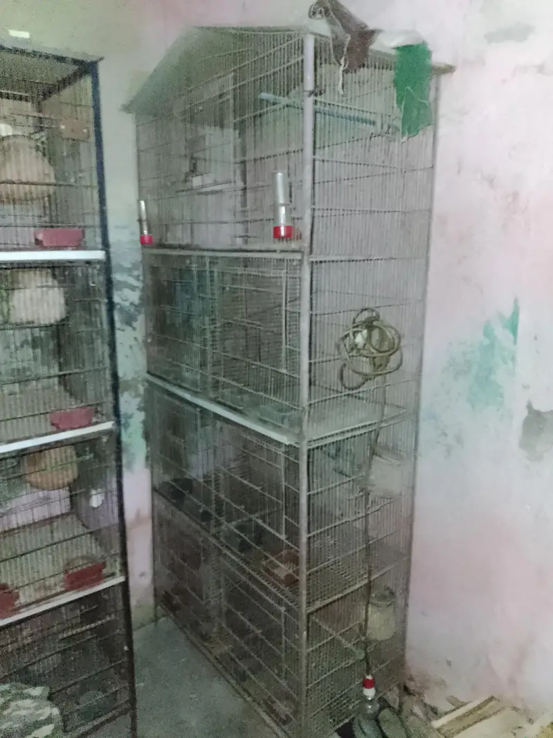 pinjara (Birds Cage) — photo 5