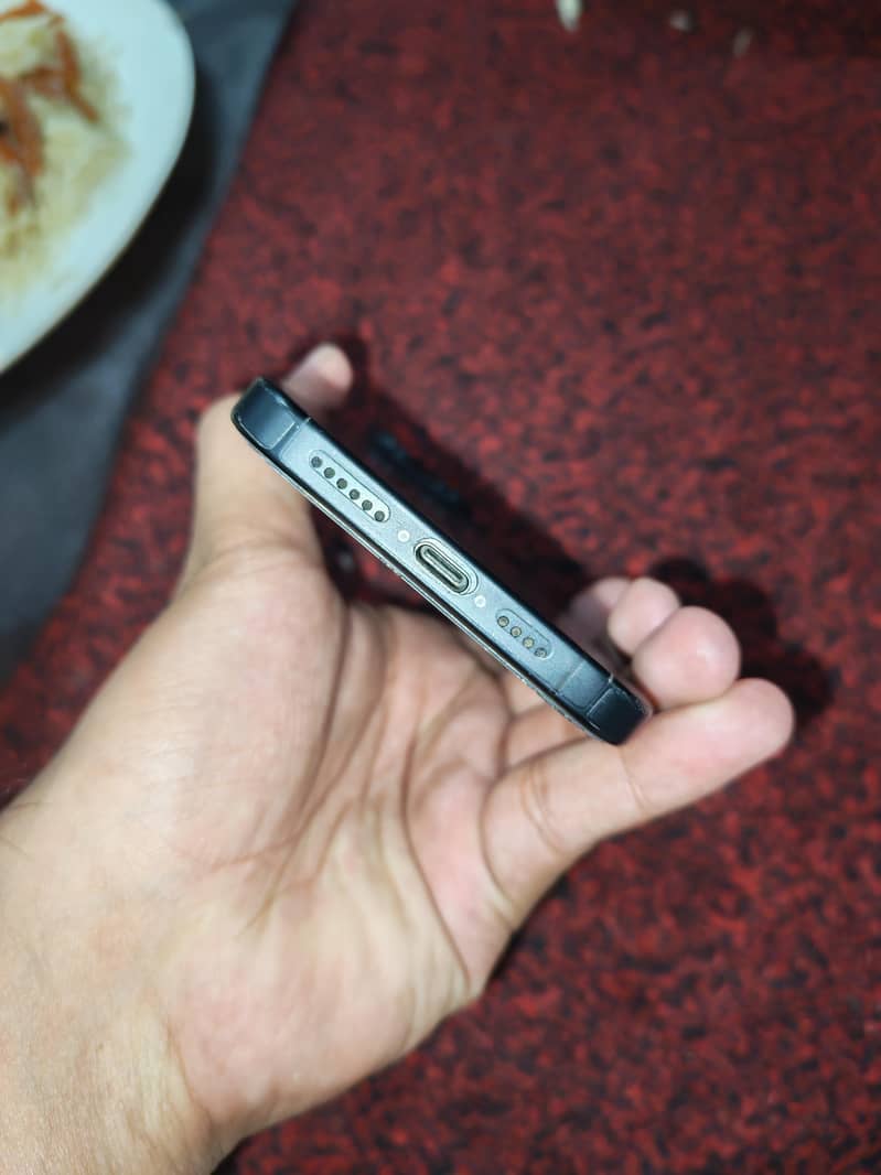 Apple iPhone 15 Pro Max 1