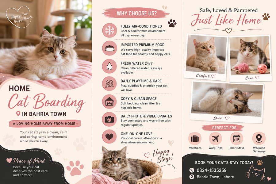 Cat boarding 0