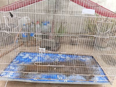 Used cage hai