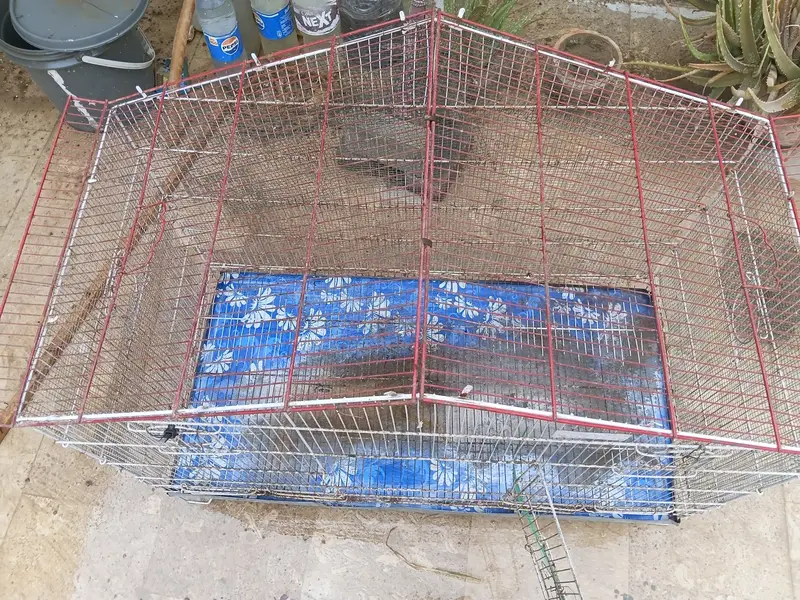 Used cage hai — photo 2