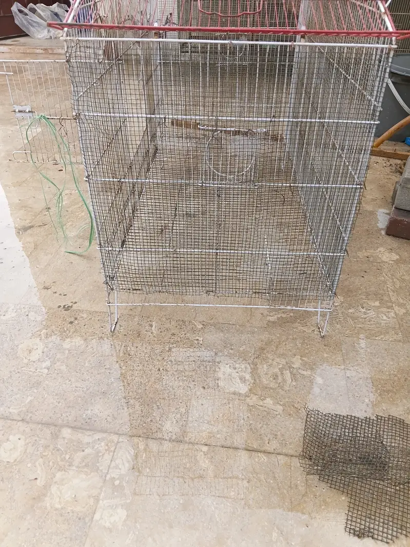 Used cage hai — photo 8