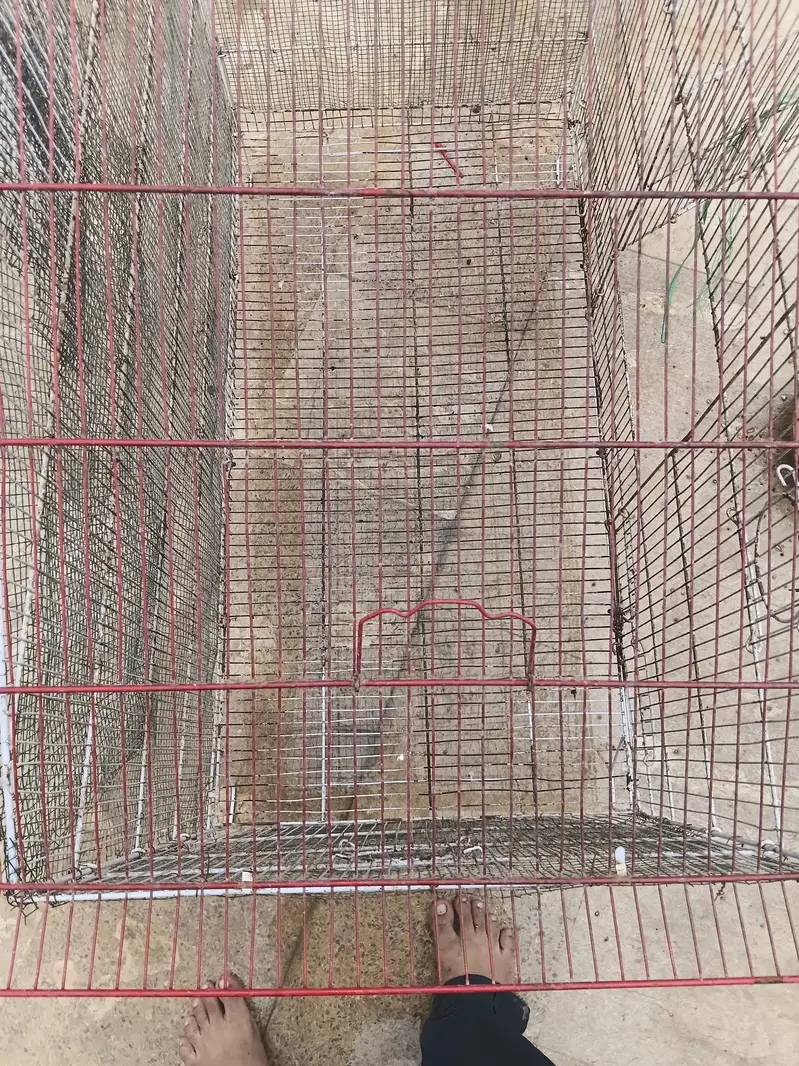 Used cage hai — photo 10