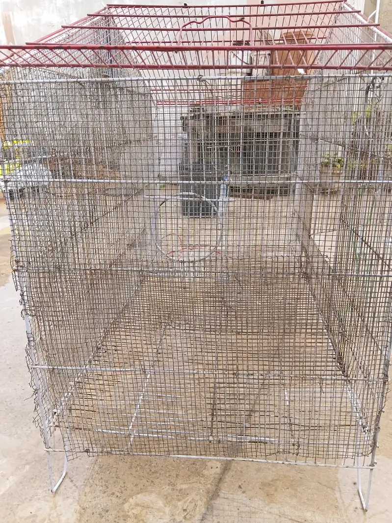 Used cage hai — photo 11