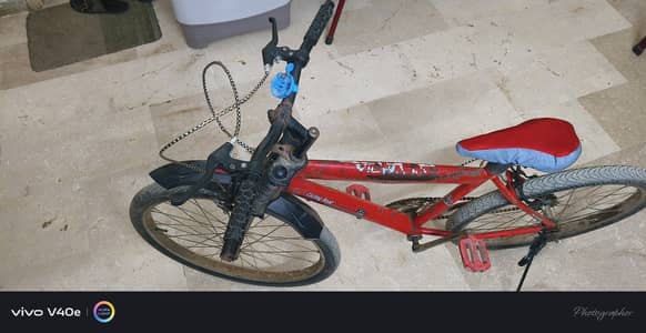 Red bicycle