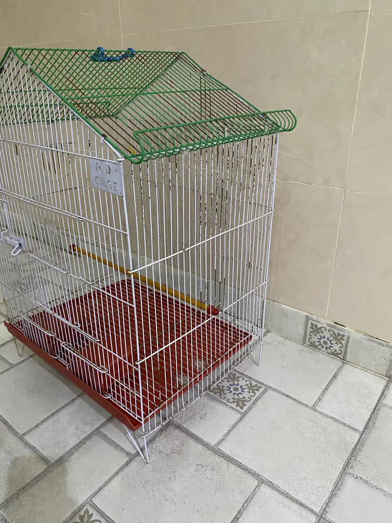 2 Bird Cages for Sale – Good Condition — photo 3