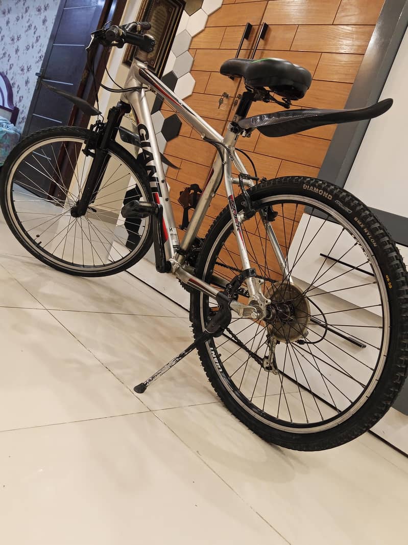 giant cycle 1