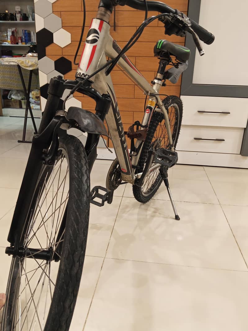 giant cycle 2