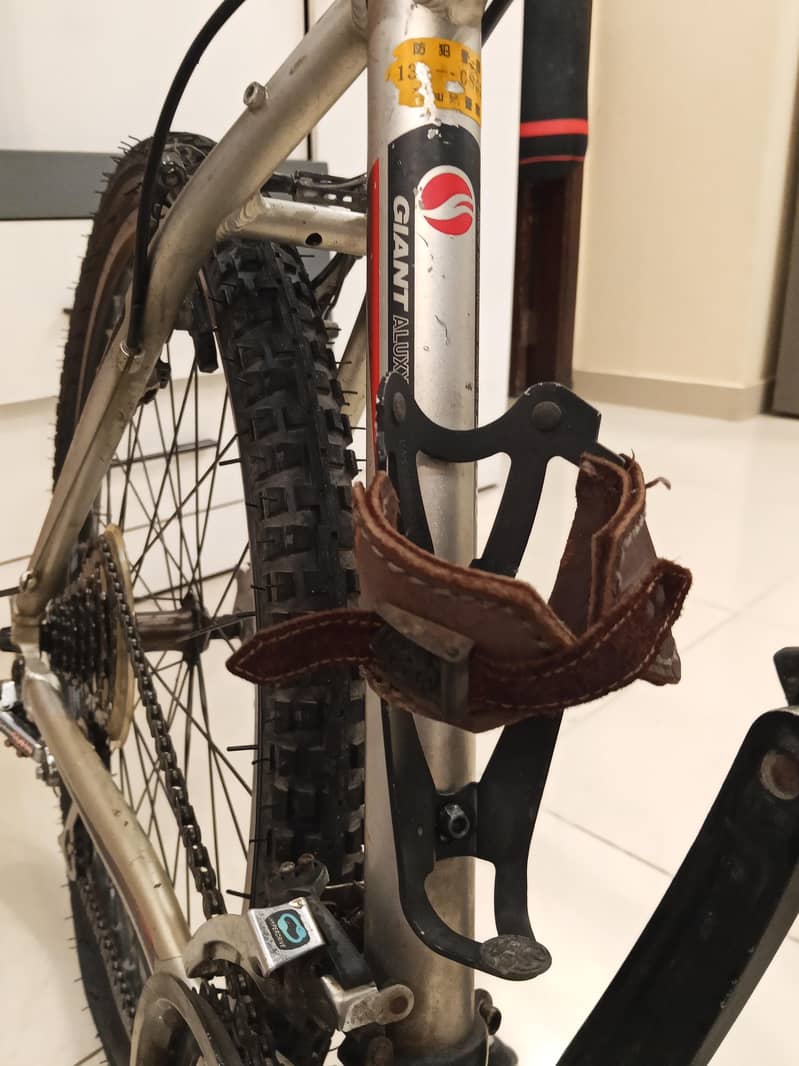 giant cycle 3